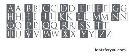 Обзор шрифта TrajanusbrixInvers