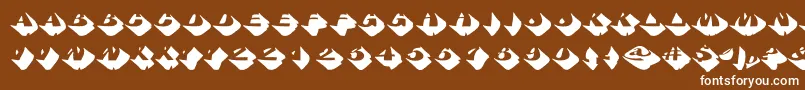 フォントSumoHeavy – 茶色の背景に白い文字