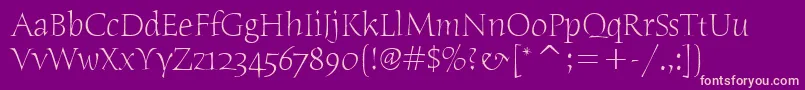 HumanaSerifItcTtLight Font – Pink Fonts on Purple Background