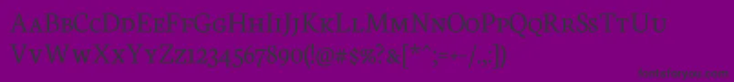 NeutonScLight Font – Black Fonts on Purple Background