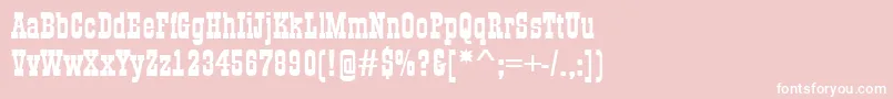 GildiaBold Font – White Fonts on Pink Background