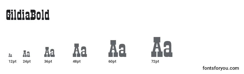 GildiaBold Font Sizes