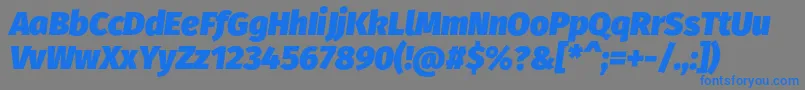 FirasansUltraitalic Font – Blue Fonts on Gray Background