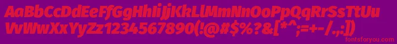 FirasansUltraitalic Font – Red Fonts on Purple Background
