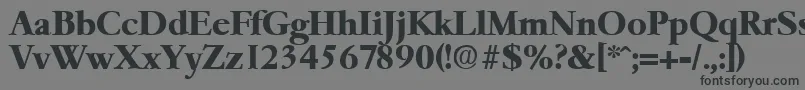 GaremondBold-Schriftart – Schwarze Schriften auf grauem Hintergrund
