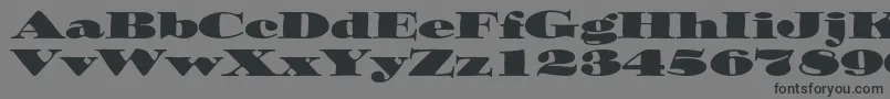 More about Ozwaldstd Font Ozwaldstd Font – Black Fonts on Gray Background