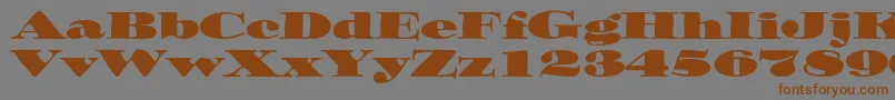 Ozwaldstd Font – Brown Fonts on Gray Background