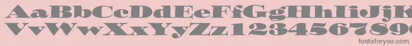 Ozwaldstd Font – Gray Fonts on Pink Background