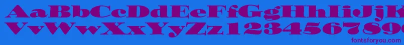 Ozwaldstd Font – Purple Fonts on Blue Background
