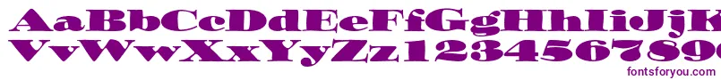 Ozwaldstd-fontti – violetit fontit valkoisella taustalla