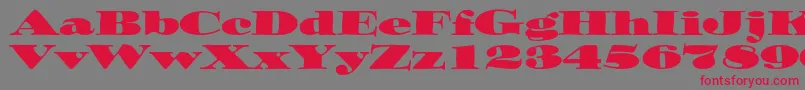 Ozwaldstd Font – Red Fonts on Gray Background