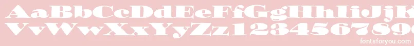 Ozwaldstd Font – White Fonts on Pink Background