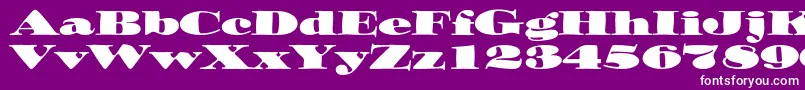 Ozwaldstd Font – White Fonts on Purple Background