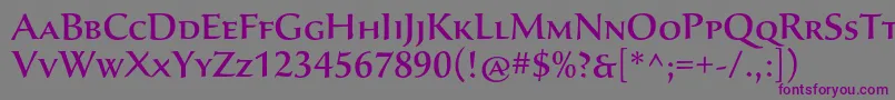 SavaproMedium Font – Purple Fonts on Gray Background
