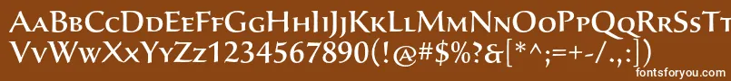 フォントSavaproMedium – 茶色の背景に白い文字