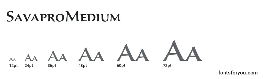 SavaproMedium Font Sizes