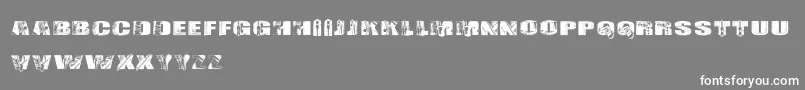 CfLeather Font – White Fonts on Gray Background