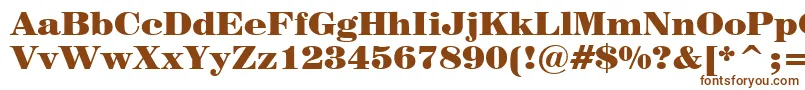 Century725BlackBt Font – Brown Fonts on White Background