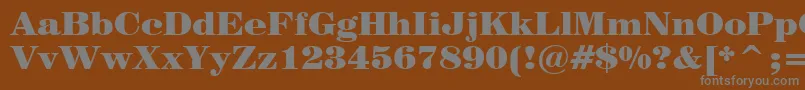 Century725BlackBt Font – Gray Fonts on Brown Background