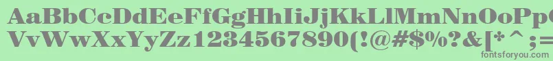 Century725BlackBt Font – Gray Fonts on Green Background