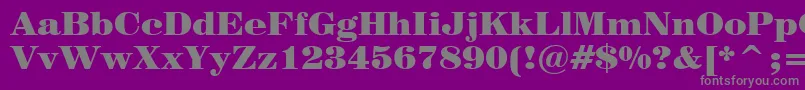 Century725BlackBt Font – Gray Fonts on Purple Background