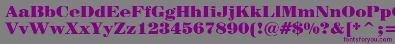 Century725BlackBt Font – Purple Fonts on Gray Background