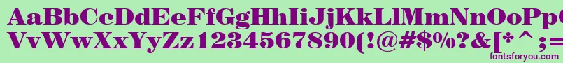 Century725BlackBt Font – Purple Fonts on Green Background