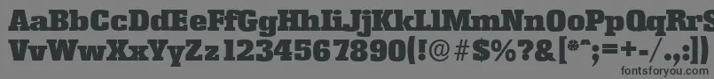 EnschedeserialBlackRegular Font – Black Fonts on Gray Background