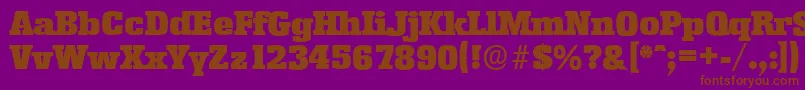 EnschedeserialBlackRegular Font – Brown Fonts on Purple Background