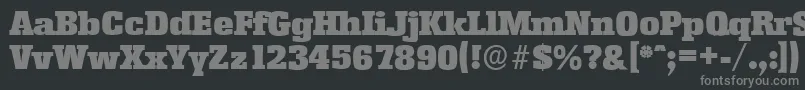 フォントEnschedeserialBlackRegular – 黒い背景に灰色の文字