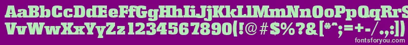 EnschedeserialBlackRegular Font – Green Fonts on Purple Background