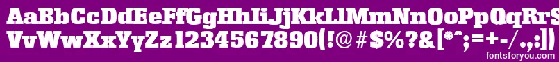 EnschedeserialBlackRegular Font – White Fonts on Purple Background