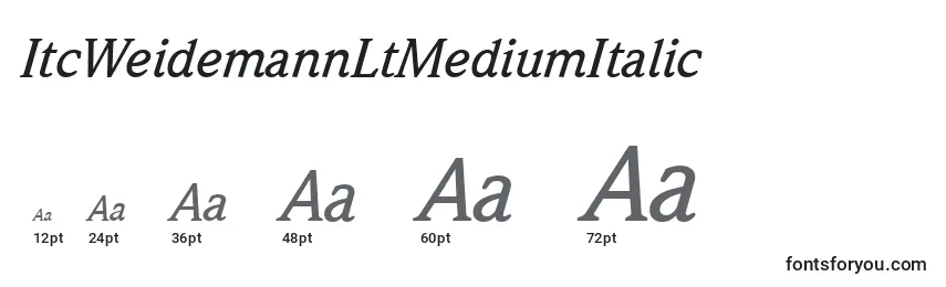 Размеры шрифта ItcWeidemannLtMediumItalic