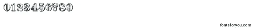 ProclamateRibbonHeavy Font – Fonts for Numbers and Digits
