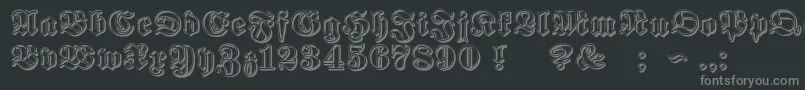 ProclamateRibbonHeavy Font – Gray Fonts on Black Background