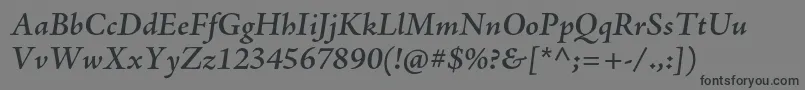 AjensonproSemiboldit Font – Black Fonts on Gray Background