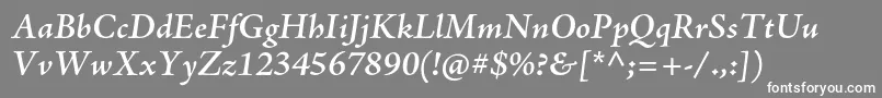 AjensonproSemiboldit-fontti – valkoiset fontit harmaalla taustalla