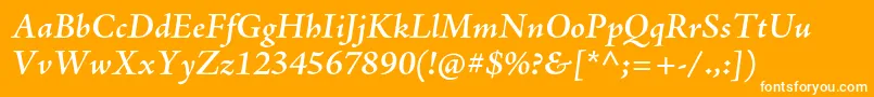 AjensonproSemiboldit Font – White Fonts on Orange Background