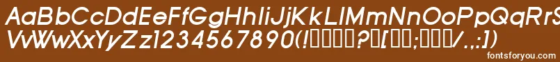 フォントSfOldRepublicBoldItalic – 茶色の背景に白い文字