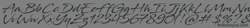 Stingray Font – Black Fonts on Gray Background