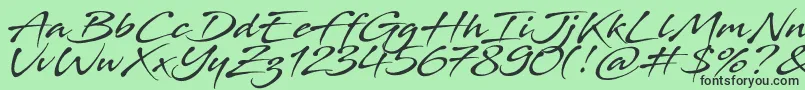 フォントStingray – 緑の背景に黒い文字