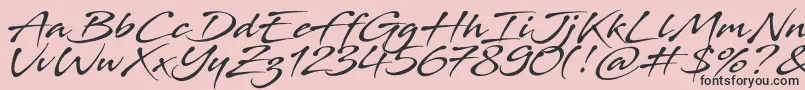 Stingray Font – Black Fonts on Pink Background