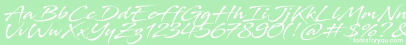 Stingray Font – White Fonts on Green Background