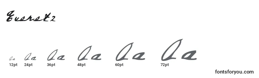 Everet2 Font Sizes
