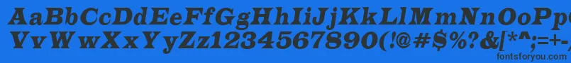 LatinonrItalic Font – Black Fonts on Blue Background