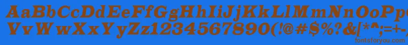 LatinonrItalic Font – Brown Fonts on Blue Background