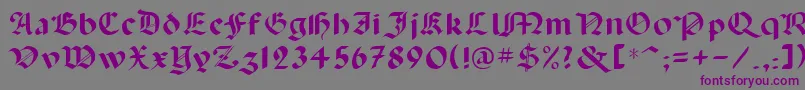 Lancas-fontti – violetit fontit harmaalla taustalla