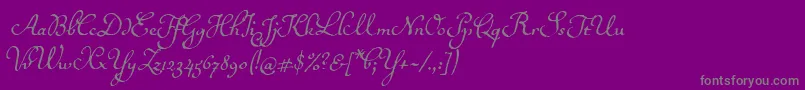 Ballerinoitc Font – Gray Fonts on Purple Background