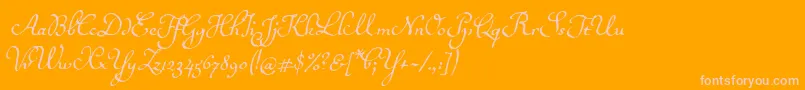 Ballerinoitc Font – Pink Fonts on Orange Background