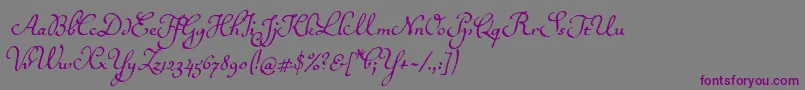 Ballerinoitc-Schriftart – Violette Schriften auf grauem Hintergrund